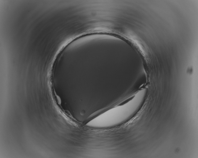 X0000093741373200711061014