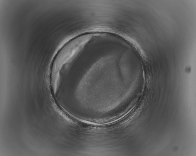 X0000093741374200711061014