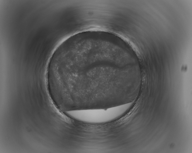 X0000093741375200711061014