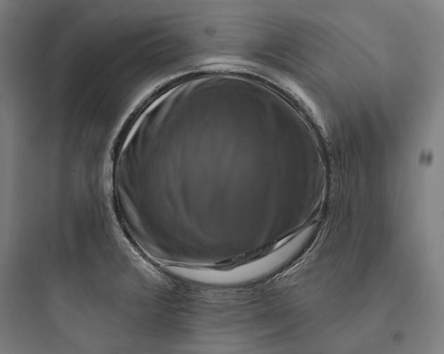 X0000093741376200711061014