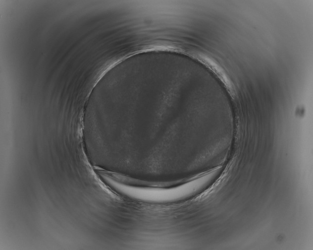 X0000093741377200711061014