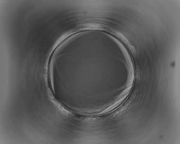 X0000093741378200711061014