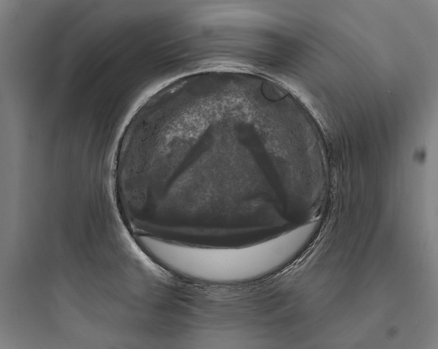 X0000093741379200711061014