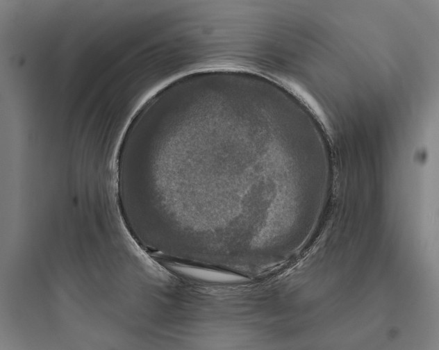 X0000093741380200711061014