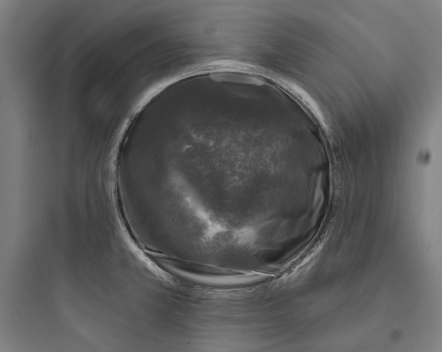 X0000093741381200711061013