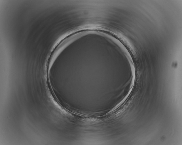 X0000093741382200711061013