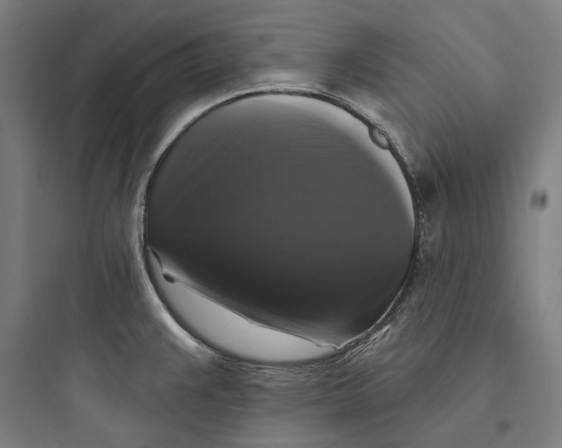 X0000093741383200711061013