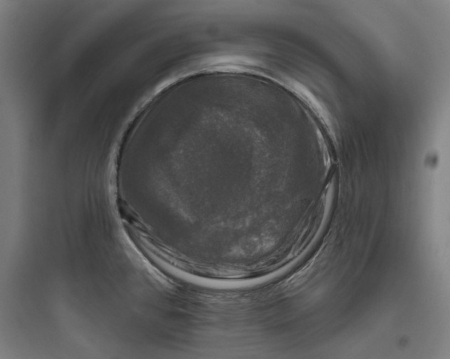 X0000093741384200711061013