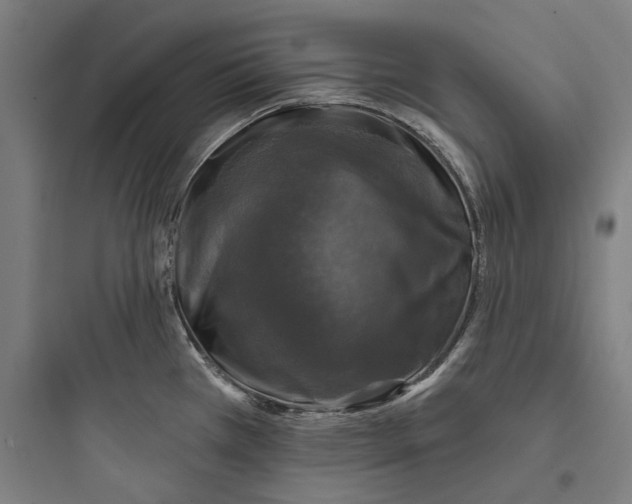 X0000093741385200711061013