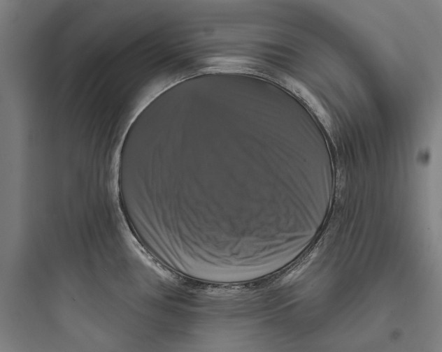 X0000093741386200711061013