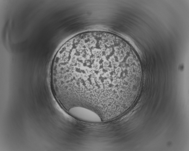 X0000093741387200711061013