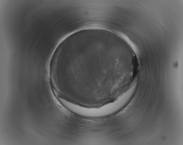 X0000093741388200711061013