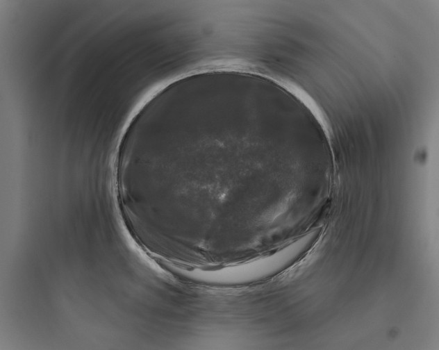 X0000093741389200711061013