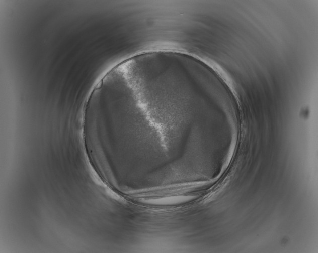 X0000093741390200711061013