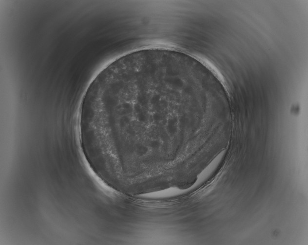 X0000093741391200711061013