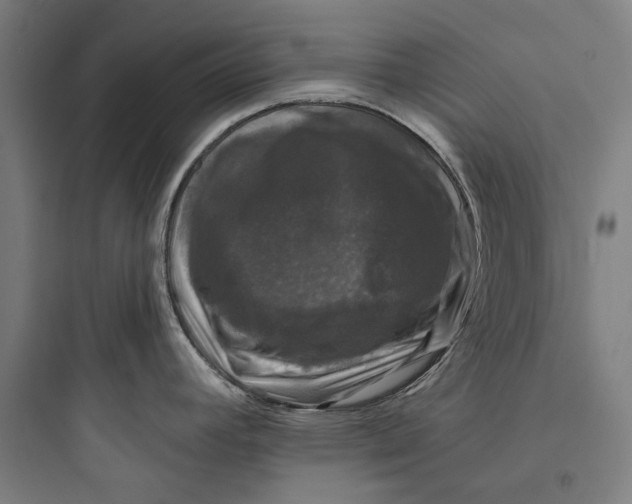 X0000093741392200711061013