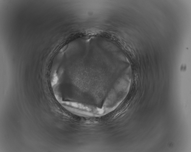 X0000093741393200711061013