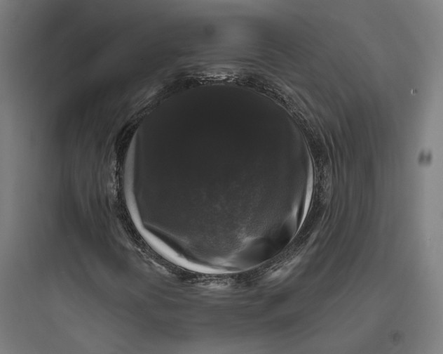 X0000093741394200711061013