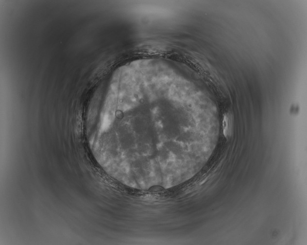 X0000093741395200711061013