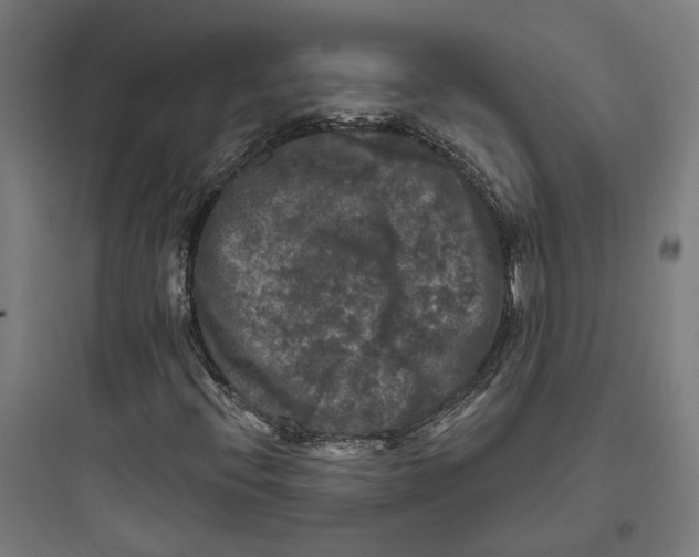 X0000093741396200711061013