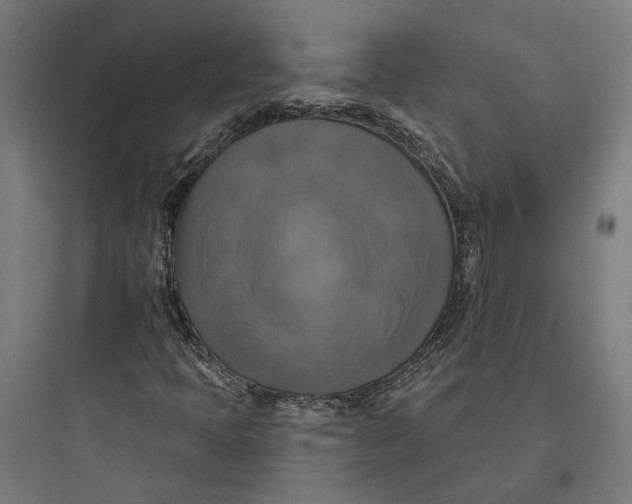 X0000093741397200711061013