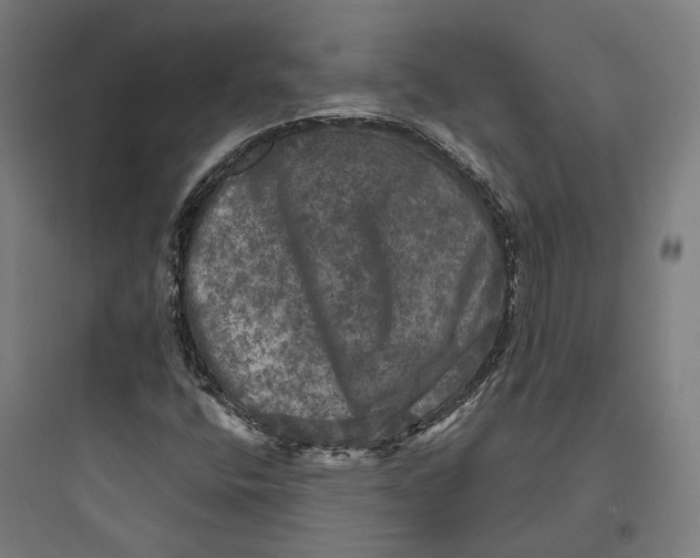 X0000093741400200711061013