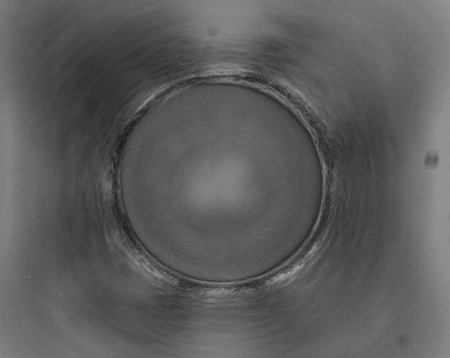 X0000093741401200711061013