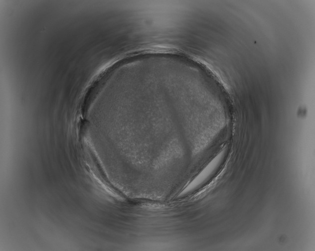 X0000093741402200711061013