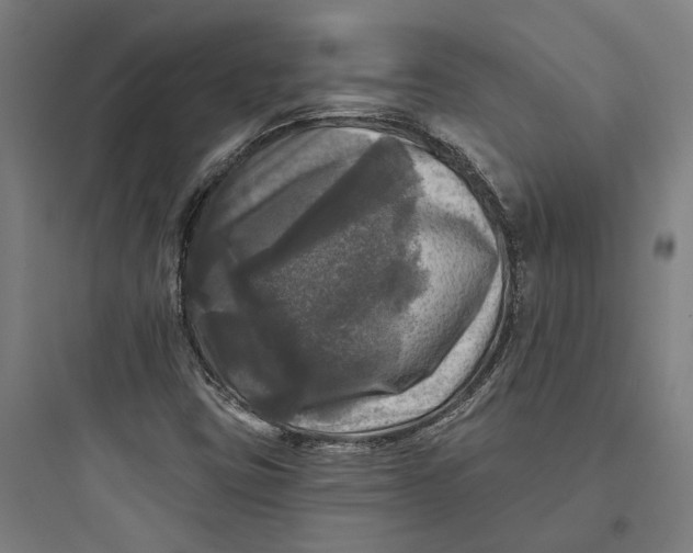 X0000093741403200711061013