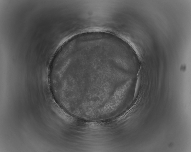 X0000093741404200711061013