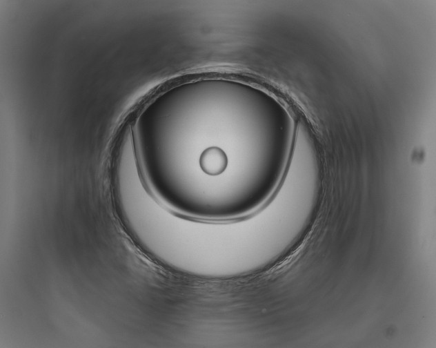 X0000093741406200711061013