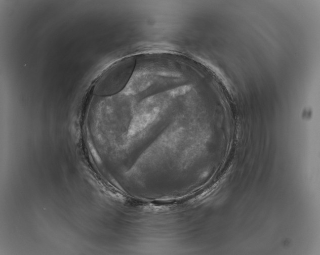 X0000093741407200711061013