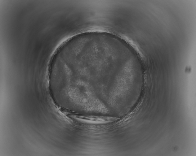 X0000093741408200711061013