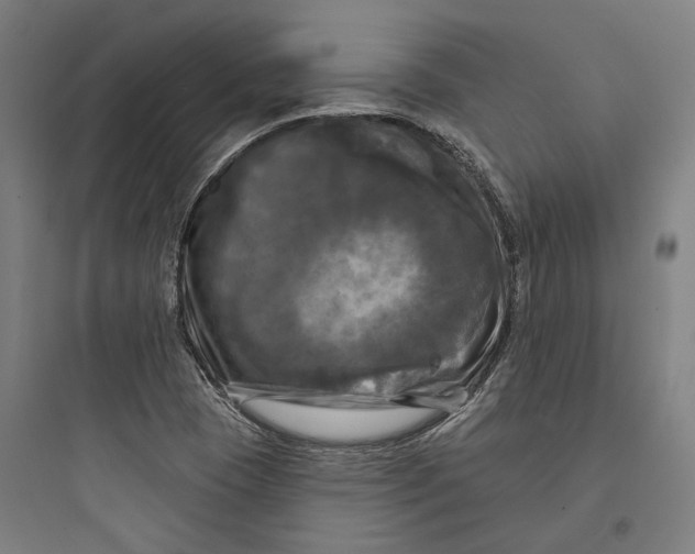 X0000093741409200711061013