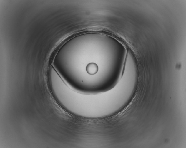 X0000093741410200711061013