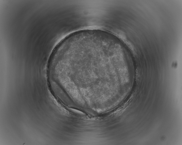 X0000093741412200711061013