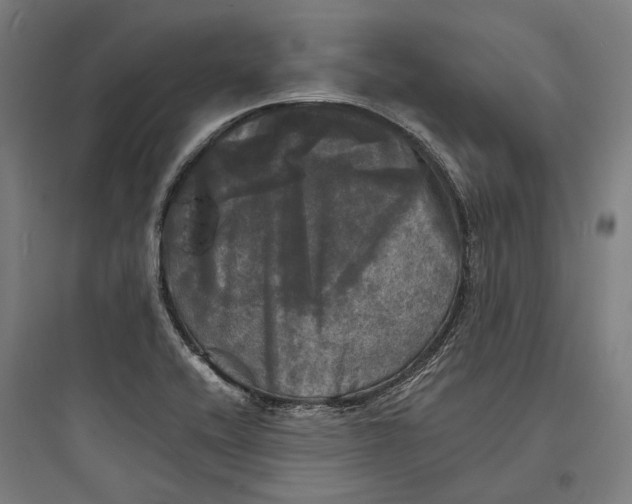 X0000093741416200711061013