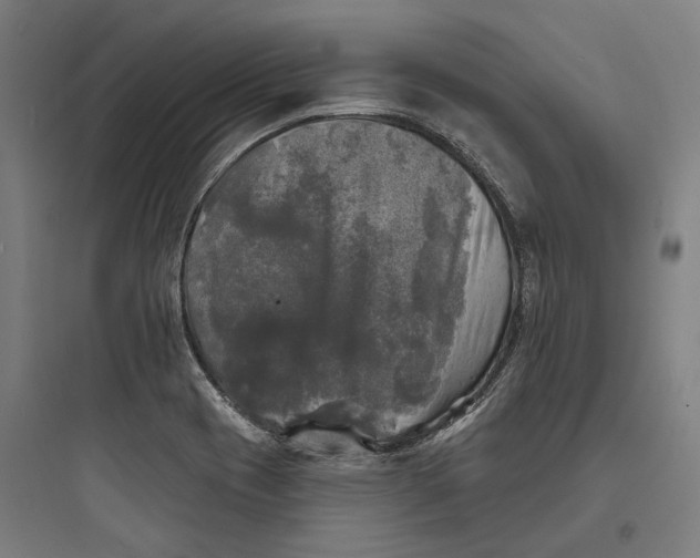 X0000093741417200711061013