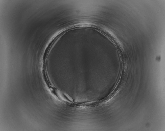 X0000093741418200711061013