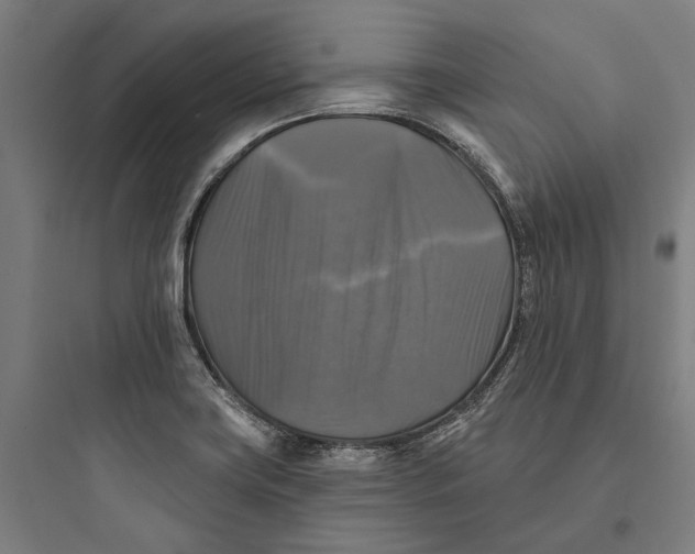 X0000093741419200711061013