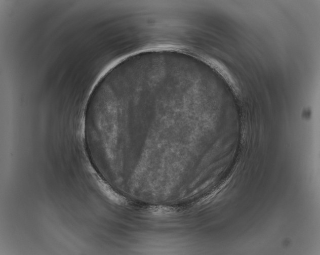 X0000093741420200711061013