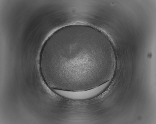 X0000093741422200711061013