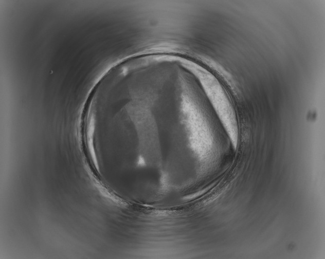 X0000093741423200711061013