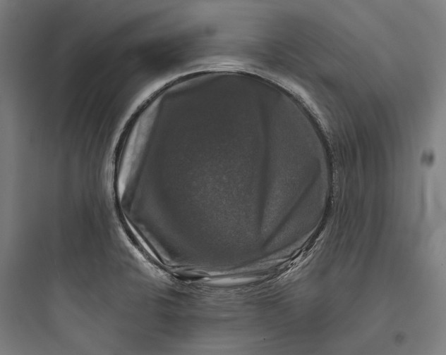 X0000093741424200711061013