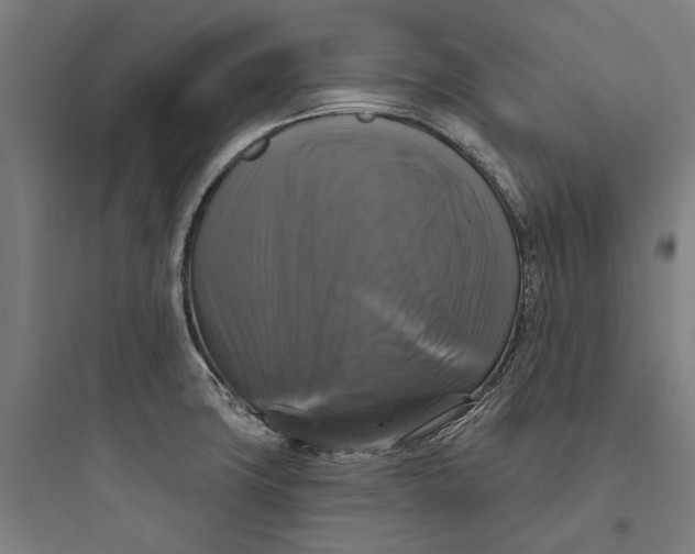 X0000093741427200711061013