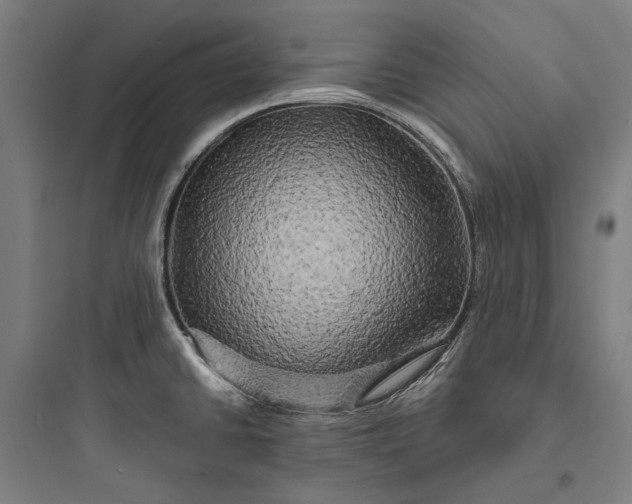 X0000093741430200711061013