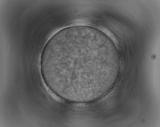 X0000093741431200711061013