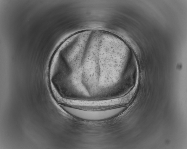 X0000093741432200711061013