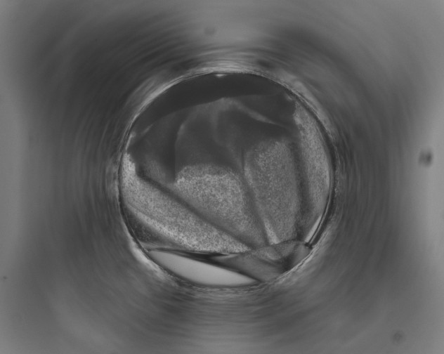 X0000093741433200711061013