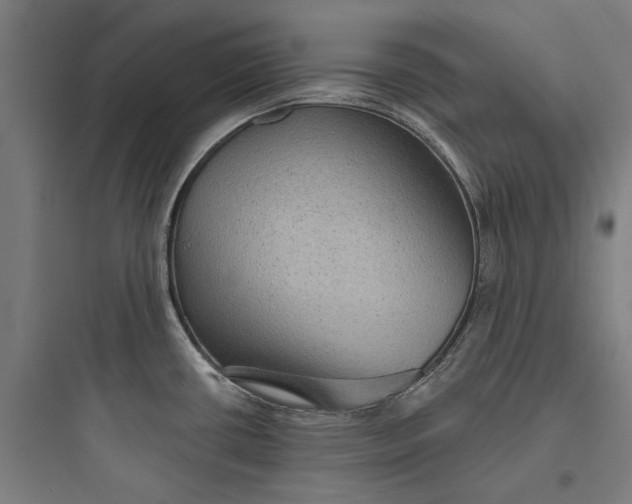 X0000093741434200711061013